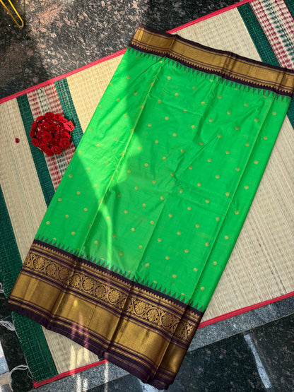 Gadwal semi silk