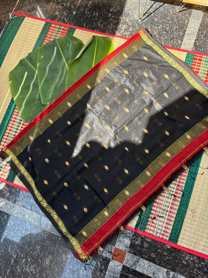Silk cotton saree