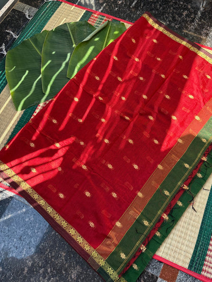 Silk cotton saree