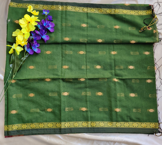 Maheshwari silk cotton saree